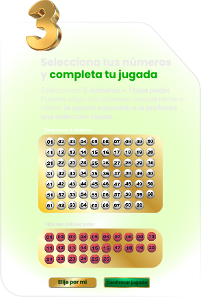 Paso 3